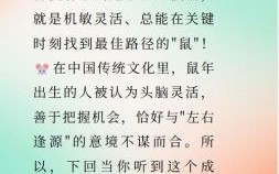 肥是什么生肖？肥字打一准确生肖