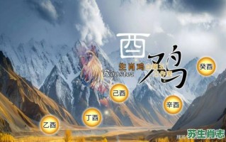 2026年属鸡生肖运程如何解析？新一年事业财运健康运势将有哪些变化与机遇？