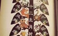 树肖是什么生肖？十二生肖谁是树上