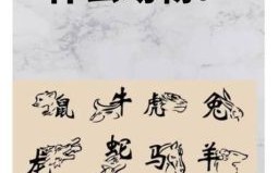 寺是什么生肖？寺代表什么动物