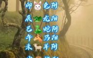 阳肖是什么生肖？阳肖是哪六个生肖