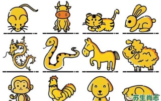 前后肖是什么生肖？前后肖最准确生肖