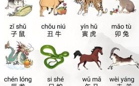 倦生肖是什么？倦代表什么生肖