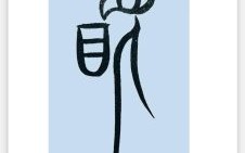 脱是什么生肖？脱字代表一个正确生肖