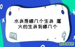 风云肖是什么生肖？风云之战最佳答案一肖