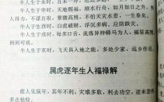 最能用心的人是什么生肖？最能用心打一最佳动物