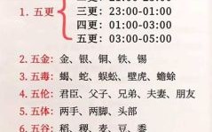 五更是什么生肖？五更打一动物