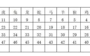 载是什么生肖？载字打一肖最佳答案