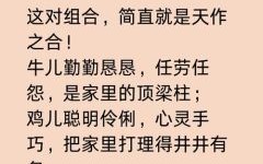 莫愁是什么生肖？莫愁打一个正确生肖