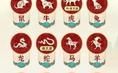 火葬的时候是什么生肖？火葬的三个最佳生肖