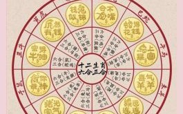 合十是什么生肖？双手合十打一准确生肖