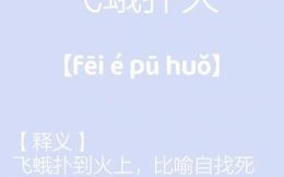 飞鹅扑火是什么生肖？飞蛾扑火最正确生肖