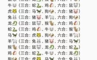 十二生肖五门是什么？49个数分哪五门