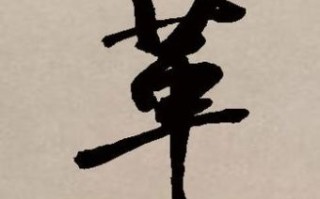 革革是是什么生肖？革和肖是什么字