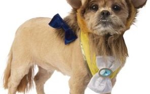 美女与野兽的故事是什么生肖？美丽女孑是什么生肖