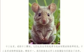 欲钱买长索是什么生肖？欲钱买长胡须的动物