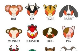 五颜六色是什么生肖)？五颜六色是何肖