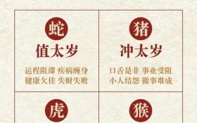 二九数随风飘来是什么生肖？二九当头来最正确生肖