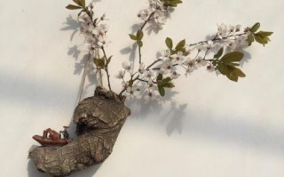 古木逢春是什么生肖？枯木逢春最佳三肖