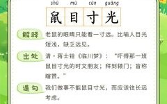 目光如炬是什么生肖？目光如炬下一句一般怎么说