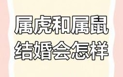 虎左右鼠是什么生肖？虎鼠两生肖相配吗