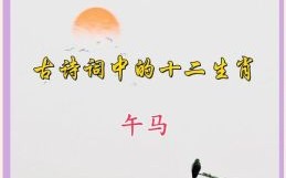 西的生肖是什么？西打一精准生肖