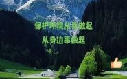大地绿树是什么生肖？绿水青山是什么生肖?