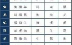 千年永定乾坤位是什么生肖？千年永定乾坤打一生肖