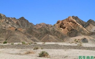 瓜州是什么生肖？州官放火打一正确生肖