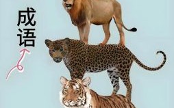 一言难尽是什么生肖？一言难尽打一最佳动物