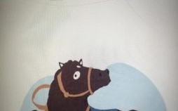 老马识途是什么生肖？老马识途打一准确动物