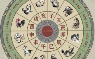 墓是什么生肖？墓是什么动物