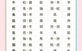 相冲生肖是什么？相冲生肖最准确一肖