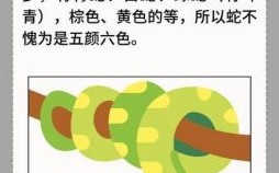 欲钱地上爬的动物是什么生肖？欲钱地下爬的动物正确一肖