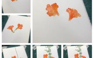 一步凌霄是什么生肖？一步凌霄最正确生肖