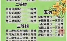 娶是什么生肖？婚,是什么生肖