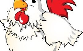 迷芒的生肖是什么？迷失方向是什么生肖