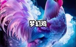 吃内的生肖是什么生肖？吃肉动物打一准确生肖