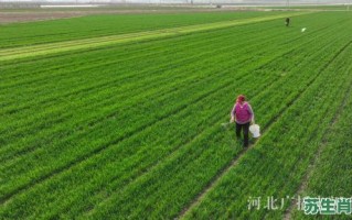 农忙时节能帮忙是什么生肖？农家种地忙是什么生肖