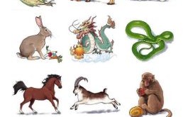 横七竖八的是什么生肖？七上八落是什么生肖动物呢