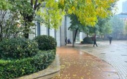 秋雨是什么生肖？秋雨打一准确生肖