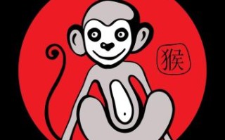 四面八方是什么生肖？四面八方打一最佳动物