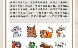 两地同发带救归是什么生肖？两地同发带救归正确答案