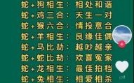 属蛇的三合生肖是什么？蛇最忌讳的三个属相