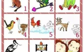 长命的动物是什么生肖？长命动物准确答案一肖