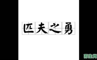 匹夫之士是什么生肖？匹夫之勇最正确生肖