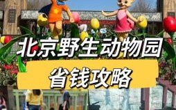 买到北京去是什么生肖？买到北京去打一动物