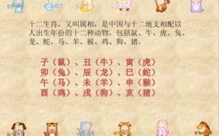 1037年是什么生肖？蒋介石属什么生肖属相