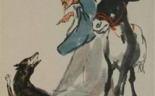 狼是什么生肖？狼打一准确生肖