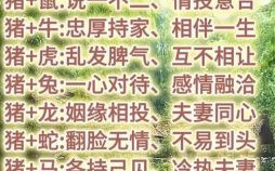 1983年是什么生肖？1983年属猪的最佳配偶